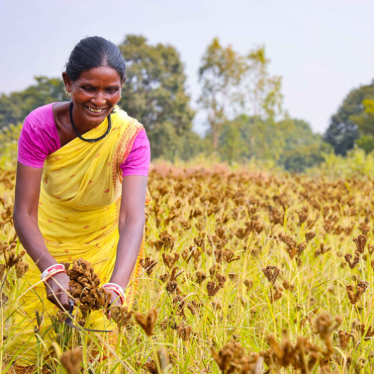 Chef standing in a kitchen with a brick wall background