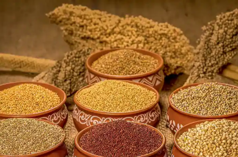 Chef preparing a dish